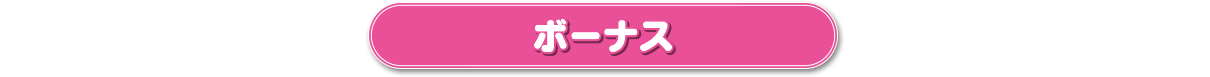 ボーナス
